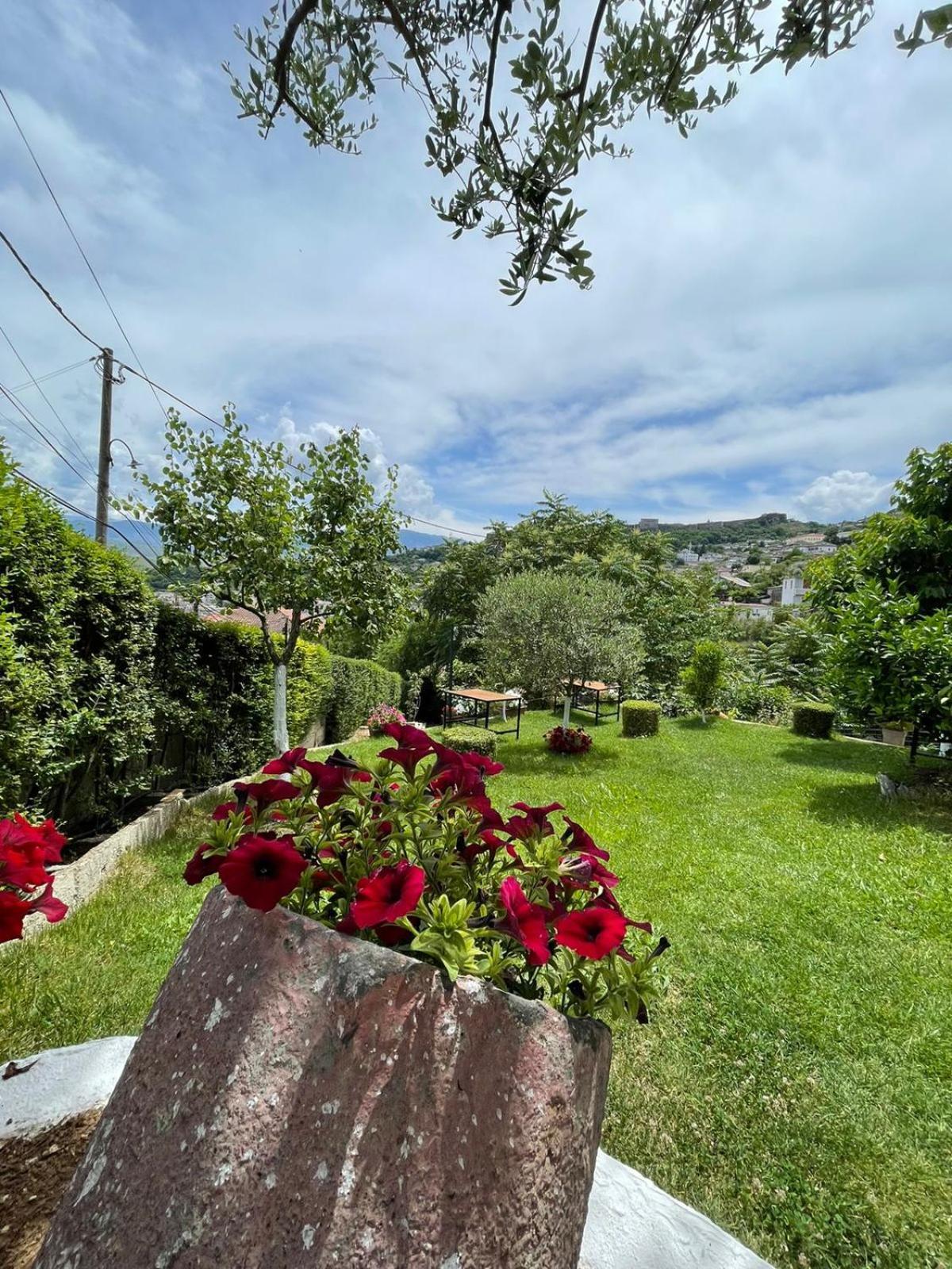 Ilvi Guesthouse Gjirokastër 外观 照片